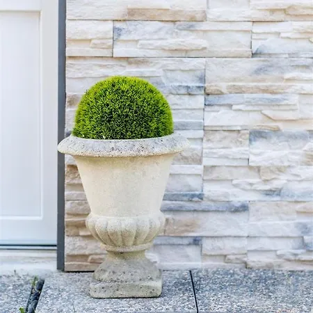 Les D'alienor-suite Acanthe *