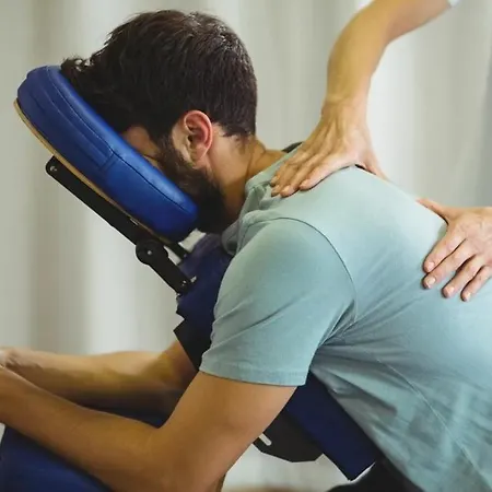 Les D'alienor-suite Acanthe Pessac