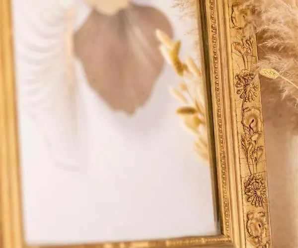 Les D'alienor-suite Acanthe * Pessac