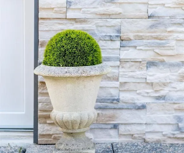 Les D'alienor-suite Acanthe *